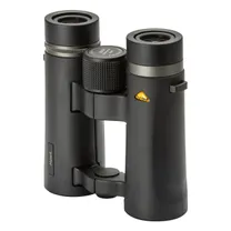 bynolyt-hawk-10x34.jpg