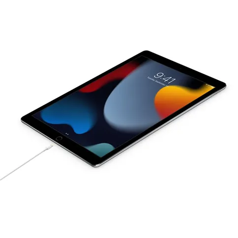 Apple_USB-C_to_Lightning_Cable_2m_White_On_iPad.jpg