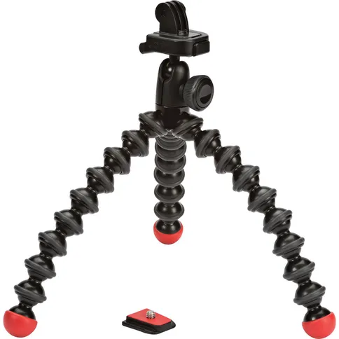 41010378_29138.jpg