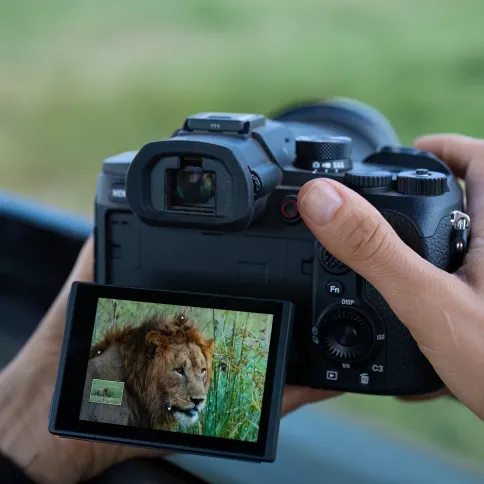 Sony_rx10v_5.webp