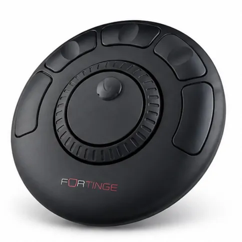 2_Fortinge_pen_hand_controller.jpg