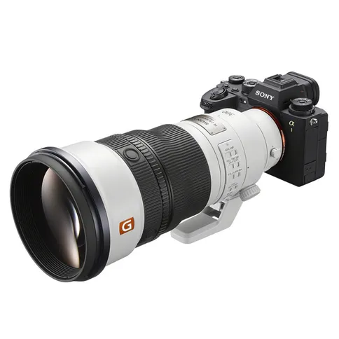 Sony-FE-300mm-F2.8-GM-OSS-2.jpg