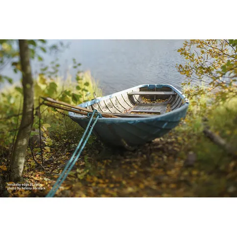 lensbaby_composer_pro_ii_nikonZ-edge35-1.jpg