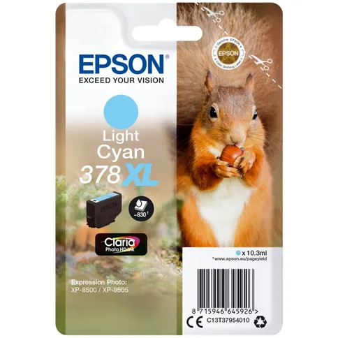 Epson_378XL_Squirrel_LichtCyaan_foto1.jpg