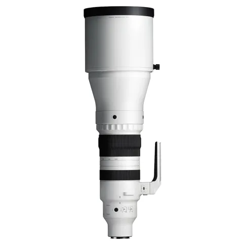 Sigma-300-600mm-f4-DG-OG-sports_07.webp