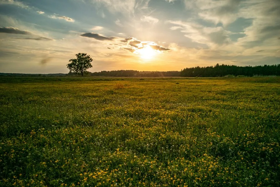 Dynamikumfang_foto_3.jpg