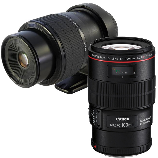 Canon MP-E 65mm en 100mm 2.8 macro is
	